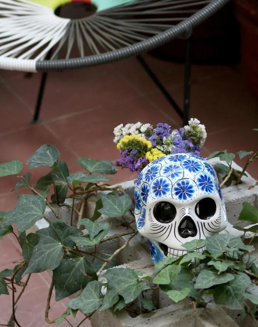 Hostel Hospedarte Centro Guadalajara